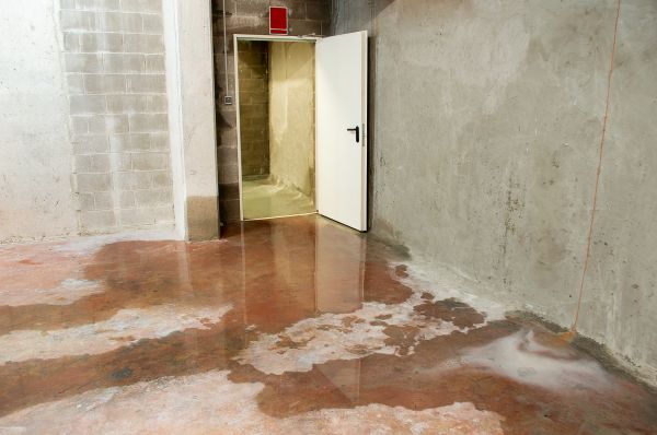 Cost of Wet Basement Repair in Kalamazoo